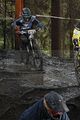 249__DSC0249 (2)